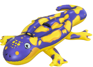 Odkryj magiczny świat akcesoriów w Aquaklub